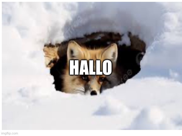 HALLO | made w/ Imgflip meme maker