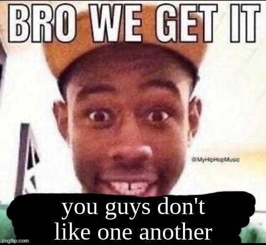 Bro we get it (blank) | you guys don't like one another | image tagged in bro we get it blank | made w/ Imgflip meme maker