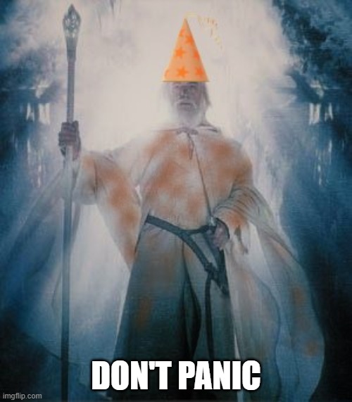 Gandalf the Orange Don't Panic | DON'T PANIC | image tagged in gandalftheorange,don't panic,safety first,nolihocdomi | made w/ Imgflip meme maker