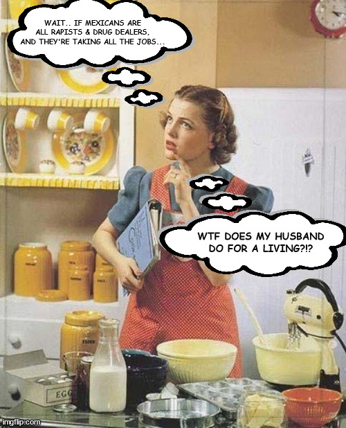 Vintage Kitchen Query | WAIT.. IF MEXICANS ARE ALL RAPISTS & DRUG DEALERS, AND THEY'RE TAKING ALL THE JOBS... WTF DOES MY HUSBAND DO FOR A LIVING?!? | image tagged in vintage kitchen query | made w/ Imgflip meme maker