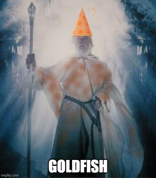 Gandalf the Orange Goldfish | GOLDFISH | image tagged in gandalftheorange,goldfish | made w/ Imgflip meme maker