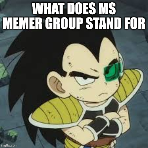 raditz tiny | WHAT DOES MS MEMER GROUP STAND FOR | image tagged in raditz tiny | made w/ Imgflip meme maker