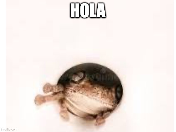 HOLA | made w/ Imgflip meme maker