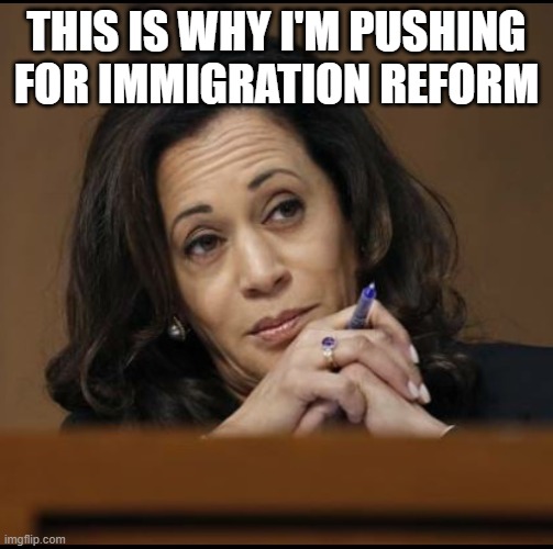 Kamala Harris  | THIS IS WHY I'M PUSHING FOR IMMIGRATION REFORM | image tagged in kamala harris | made w/ Imgflip meme maker