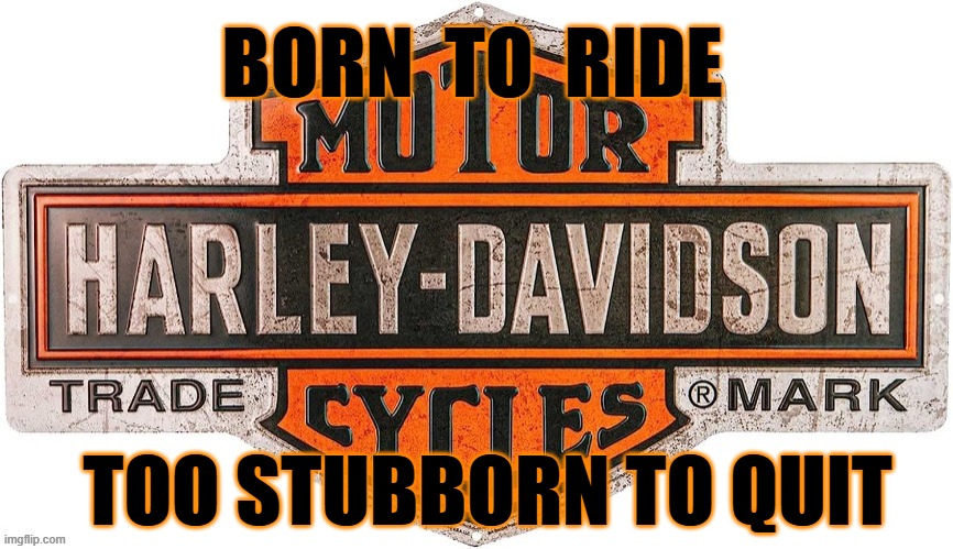 BORN TO RIDE   TOO STUBBORN TO QUIT | BORN  TO  RIDE; TOO STUBBORN TO QUIT | image tagged in harley davidson | made w/ Imgflip meme maker