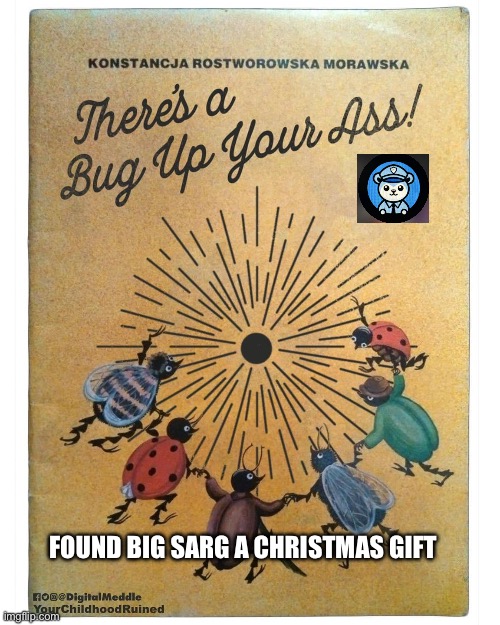 A very special present | FOUND BIG SARG A CHRISTMAS GIFT | image tagged in books,police | made w/ Imgflip meme maker