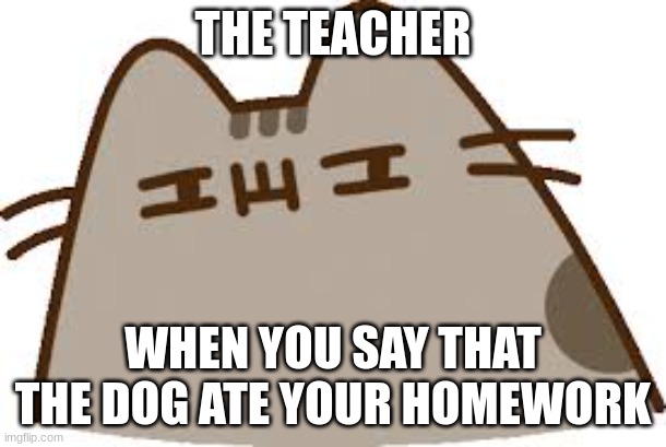 IN TROUBLE | THE TEACHER; WHEN YOU SAY THAT THE DOG ATE YOUR HOMEWORK | image tagged in pusheen | made w/ Imgflip meme maker