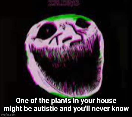 phonk troll | One of the plants in your house might be autistic and you'll never know | image tagged in phonk troll | made w/ Imgflip meme maker