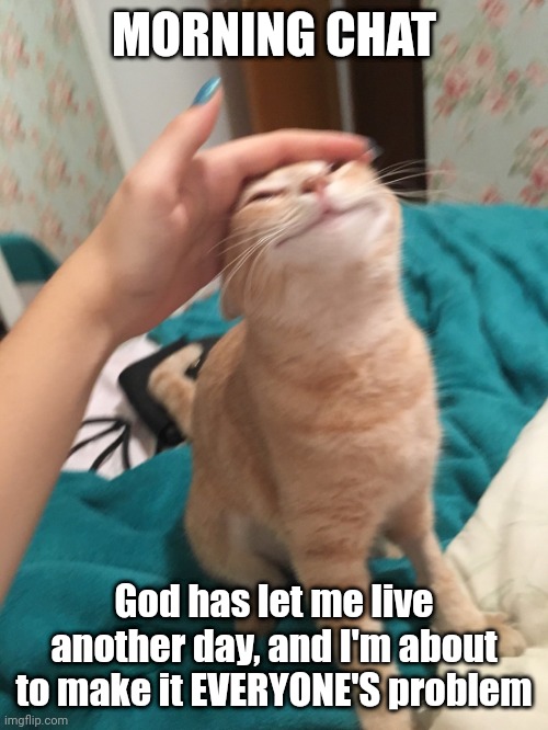 :3 | MORNING CHAT; God has let me live another day, and I'm about to make it EVERYONE'S problem | image tagged in cat pat | made w/ Imgflip meme maker