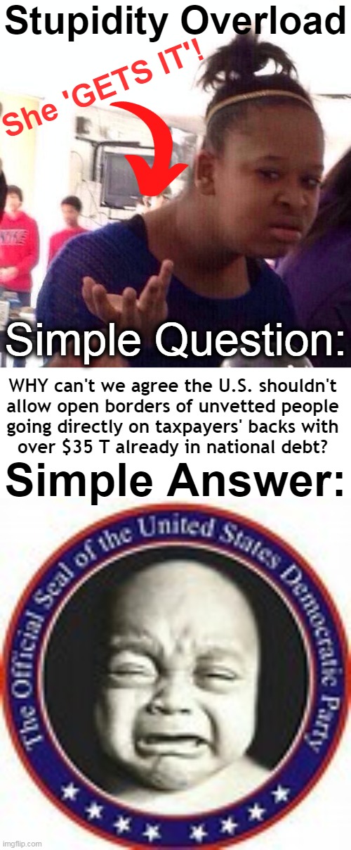 Cuz Democrats! | Stupidity Overload; She 'GETS IT'! Simple Question:; WHY can't we agree the U.S. shouldn't 
allow open borders of unvetted people 
going directly on taxpayers' backs with 
over $35 T already in national debt? Simple Answer: | image tagged in democrat party logo,common sense,illegal immigration,wait that's illegal,seal of democrat party,political humor | made w/ Imgflip meme maker