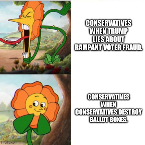 Ballot boxes destroyed by conservatives. | CONSERVATIVES WHEN TRUMP LIES ABOUT RAMPANT VOTER FRAUD. CONSERVATIVES WHEN CONSERVATIVES DESTROY BALLOT BOXES. | image tagged in cuphead flower,conservative hypocrisy,frauds,hypocrites,guilty on 34 | made w/ Imgflip meme maker