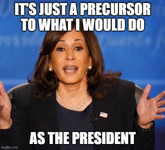 Kamala Harris | IT'S JUST A PRECURSOR TO WHAT I WOULD DO AS THE PRESIDENT | image tagged in kamala harris | made w/ Imgflip meme maker