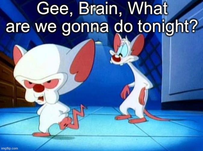 Gee brain | image tagged in gee brain | made w/ Imgflip meme maker