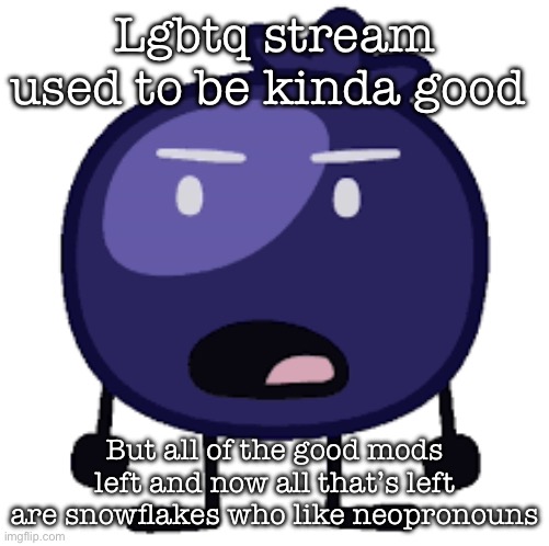 Displeased blueberry | Lgbtq stream used to be kinda good; But all of the good mods left and now all that’s left are snowflakes who like neopronouns | image tagged in displeased blueberry | made w/ Imgflip meme maker