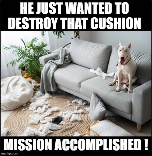 One Happy Dog ! | HE JUST WANTED TO DESTROY THAT CUSHION; MISSION ACCOMPLISHED ! | image tagged in dogs,english bull terrier,destruction,mission accomplished | made w/ Imgflip meme maker