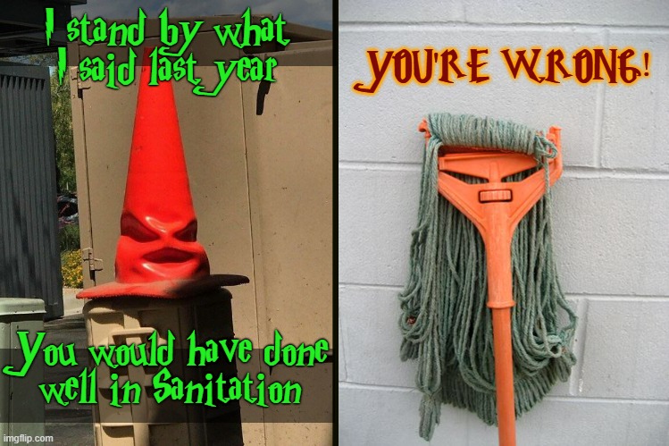 The Sorting Cone | I stand by what I said last year; YOU'RE WRONG! You would have done
well in Sanitation | image tagged in funny memes,harry potter sorting hat | made w/ Imgflip meme maker