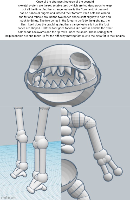 Onee of the strangest features of the beanoid skeletal system are the retractable teeth, which are too dangerous to keep out all the time. Another strange feature is the "forehand." A beanoid has no hands or fingers and instead their forearm itself acts like a hand, the fat and muscle around the two bones shape shift slightly to hold and stick to things. The two bones in the forearm don't do the grabbing, the flesh itself does the grabbing. Another strange feature is how the foot bones are shaped. Half the foot goes forward like normal, and the the other half bends backwards and the tip rests under the ankle. These springy feet help beanoids run and make up for the difficulty moving fast due to the extra fat in their bodies | made w/ Imgflip meme maker