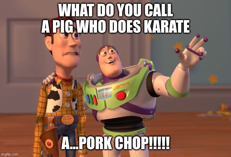 X, X Everywhere Meme | WHAT DO YOU CALL A PIG WHO DOES KARATE; A...PORK CHOP!!!!! | image tagged in memes,x x everywhere | made w/ Imgflip meme maker