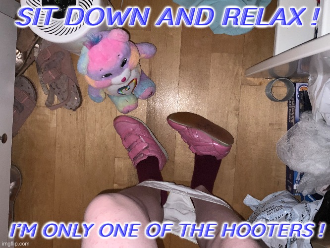 SIT DOWN AND RELAX ! I’M ONLY ONE OF THE HOOTERS ! | made w/ Imgflip meme maker