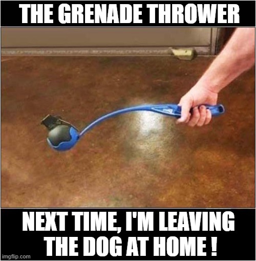 A Useful Device | THE GRENADE THROWER; NEXT TIME, I'M LEAVING 
THE DOG AT HOME ! | image tagged in grenade,throw,dead,dog,dark humour | made w/ Imgflip meme maker