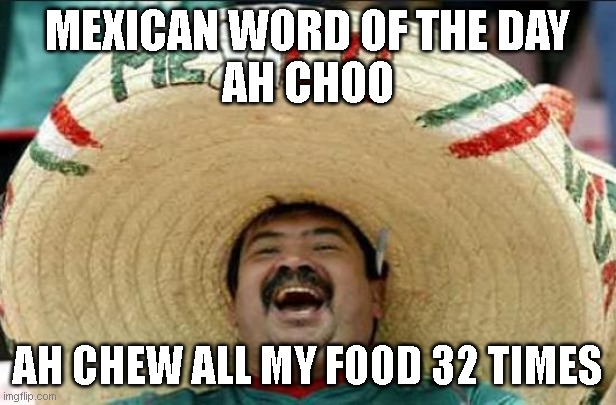 mexican word of the day | MEXICAN WORD OF THE DAY
AH CHOO; AH CHEW ALL MY FOOD 32 TIMES | image tagged in mexican word of the day,lol,funny meme,funny memes,funny | made w/ Imgflip meme maker