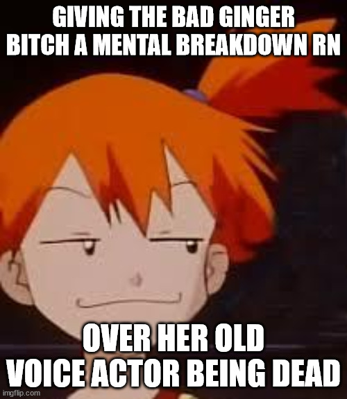 Derp Face Misty | GIVING THE BAD GINGER BITCH A MENTAL BREAKDOWN RN; OVER HER OLD VOICE ACTOR BEING DEAD | image tagged in derp face misty | made w/ Imgflip meme maker