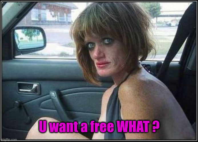Ugly meth heroin addict Prostitute hoe in car | U want a free WHAT ? | image tagged in ugly meth heroin addict prostitute hoe in car | made w/ Imgflip meme maker