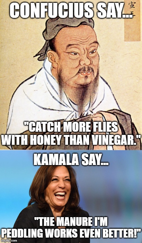 There is no way it should be this close... | CONFUCIUS SAY... "CATCH MORE FLIES WITH HONEY THAN VINEGAR."; KAMALA SAY... "THE MANURE I'M PEDDLING WORKS EVEN BETTER!" | image tagged in confucius says,kamala harris laughing | made w/ Imgflip meme maker