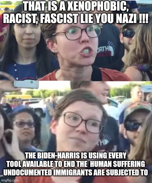 Two faced liberal snowflake | THAT IS A XENOPHOBIC, RACIST, FASCIST LIE YOU NAZI !!! THE BIDEN-HARRIS IS USING EVERY TOOL AVAILABLE TO END THE  HUMAN SUFFERING UNDOCUMENT | image tagged in two faced liberal snowflake | made w/ Imgflip meme maker