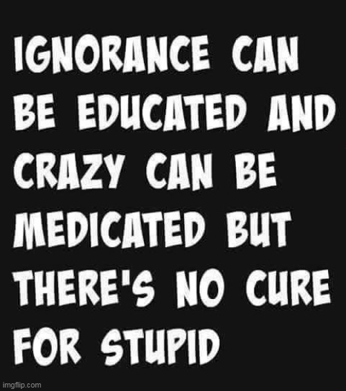 No cure for stupid | image tagged in the truth about stupid,ignorance,crazy,stupid,stupidity,truth | made w/ Imgflip meme maker