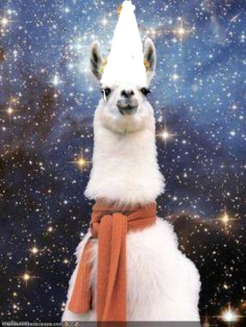 Drama Llama Birthday | image tagged in drama llama birthday | made w/ Imgflip meme maker