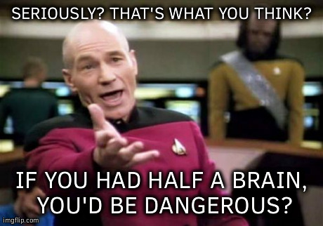 Picard Wtf | SERIOUSLY? THAT'S WHAT YOU THINK? IF YOU HAD HALF A BRAIN, YOU'D BE DANGEROUS? | image tagged in memes,picard wtf | made w/ Imgflip meme maker