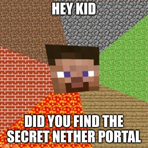 Minecraft Steve | HEY KID DID YOU FIND THE SECRET NETHER PORTAL | image tagged in minecraft steve | made w/ Imgflip meme maker