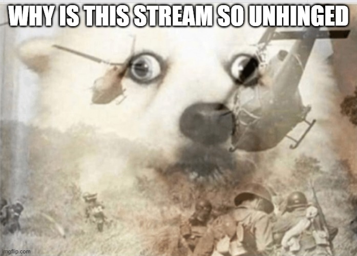 insert title | WHY IS THIS STREAM SO UNHINGED | image tagged in ptsd dog | made w/ Imgflip meme maker