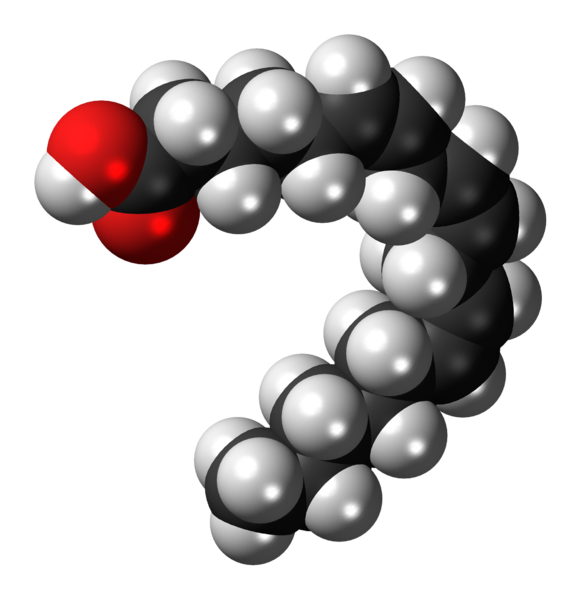 gamma linolenic acid Blank Meme Template