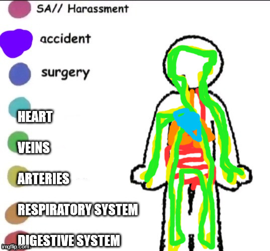 Shitty human body | HEART
 
VEINS
 
ARTERIES
 
RESPIRATORY SYSTEM
 
DIGESTIVE SYSTEM | image tagged in pain chart | made w/ Imgflip meme maker