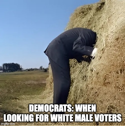 Finding needle in haystack | DEMOCRATS: WHEN LOOKING FOR WHITE MALE VOTERS | image tagged in finding needle in haystack | made w/ Imgflip meme maker