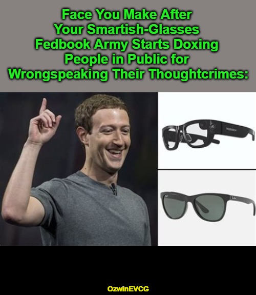 I Remember When Privacy was Respected and Protected. Dork Fookerborg Deserves a Tribunal for a Few Reasons. | Face You Make After 

Your Smartish-Glasses 

Fedbook Army Starts Doxing 

People in Public for 

Wrongspeaking Their Thoughtcrimes:; OzwinEVCG | image tagged in mark zuckerberg,meta facebook,smart glasses,technology,tyranny,technocracy | made w/ Imgflip meme maker