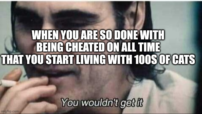 More shit to clean to feed the OCD | WHEN YOU ARE SO DONE WITH
BEING CHEATED ON ALL TIME
THAT YOU START LIVING WITH 100S OF CATS | image tagged in you wouldn't get it | made w/ Imgflip meme maker