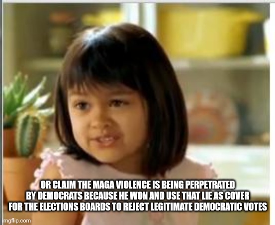 Why not both | OR CLAIM THE MAGA VIOLENCE IS BEING PERPETRATED BY DEMOCRATS BECAUSE HE WON AND USE THAT LIE AS COVER FOR THE ELECTIONS BOARDS TO REJECT LEG | image tagged in why not both | made w/ Imgflip meme maker