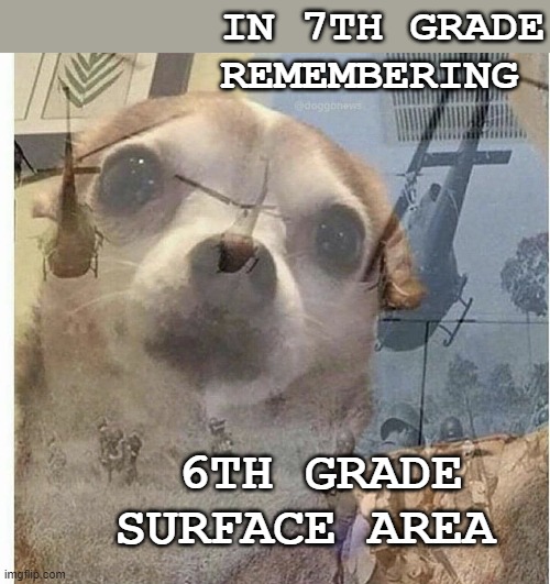 The suffering! | IN 7TH GRADE REMEMBERING; 6TH GRADE SURFACE AREA | image tagged in ptsd chihuahua,math,middle school,trauma | made w/ Imgflip meme maker