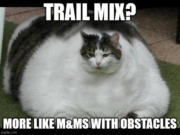 Trail mix is so overrated | TRAIL MIX? MORE LIKE M&MS WITH OBSTACLES | image tagged in fat cat 2 | made w/ Imgflip meme maker