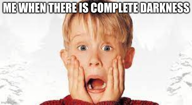 Kevin Mcallister Face | ME WHEN THERE IS COMPLETE DARKNESS | image tagged in kevin mcallister face | made w/ Imgflip meme maker