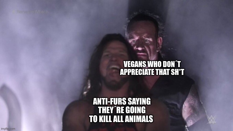 vegans are a furry´s guardian angel | VEGANS WHO DON´T APPRECIATE THAT SH*T; ANTI-FURS SAYING THEY´RE GOING TO KILL ALL ANIMALS | image tagged in aj styles undertaker | made w/ Imgflip meme maker