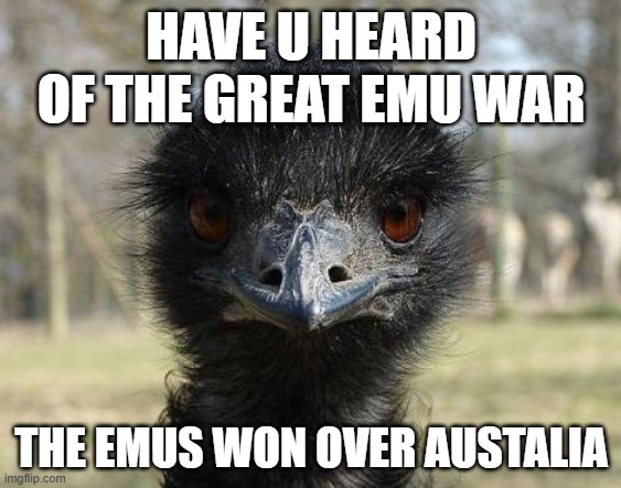 LOL | HAVE U HEARD OF THE GREAT EMU WAR; THE EMUS WON OVER AUSTALIA | image tagged in bad news emu | made w/ Imgflip meme maker