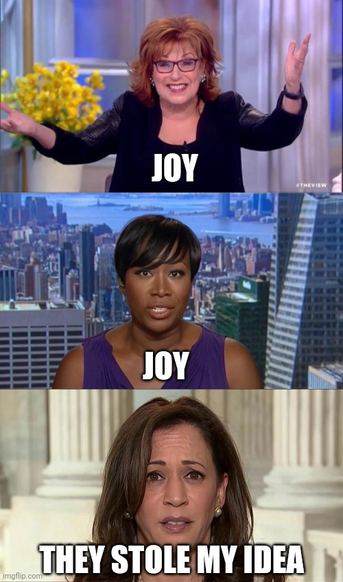 JOY JOY THEY STOLE MY IDEA | image tagged in joy behar,msnbc joy reid,kamala harris | made w/ Imgflip meme maker