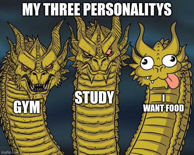 personaltilys | MY THREE PERSONALITYS; STUDY; I WANT FOOD; GYM | image tagged in three-headed dragon | made w/ Imgflip meme maker