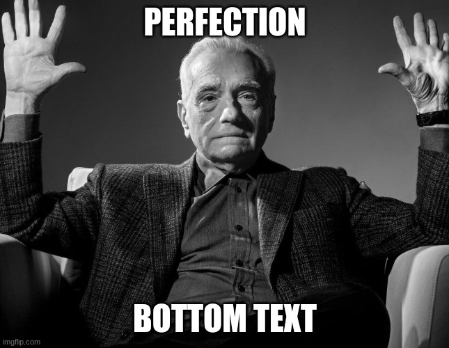 PERFECTION BOTTOM TEXT | image tagged in absolute cinema | made w/ Imgflip meme maker