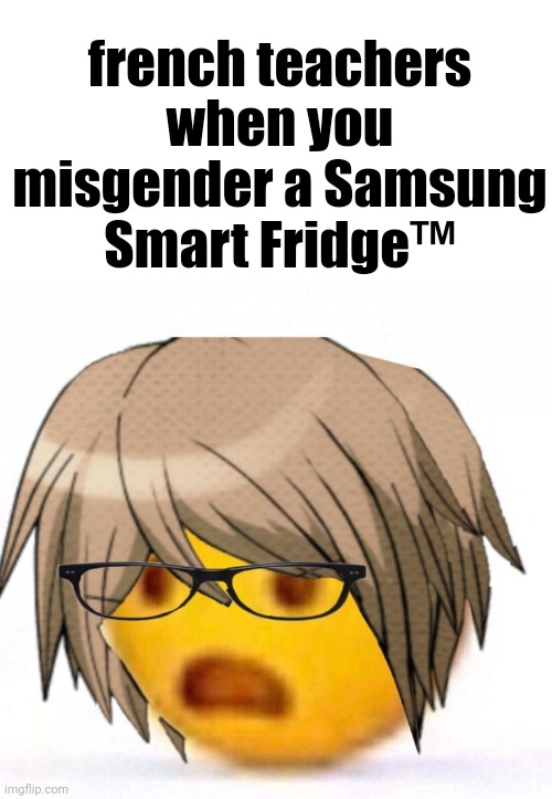 french teachers when you misgender a Samsung Smart Fridge™️ | made w/ Imgflip meme maker