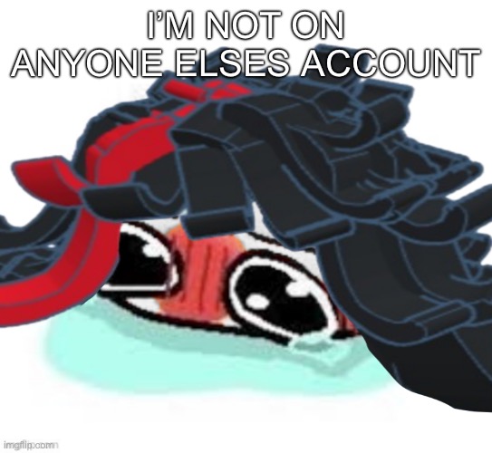 Amb shamb bbbmba | I’M NOT ON ANYONE ELSES ACCOUNT | image tagged in amb shamb bbbmba | made w/ Imgflip meme maker